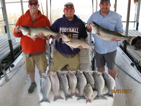 Nice Striped Bass